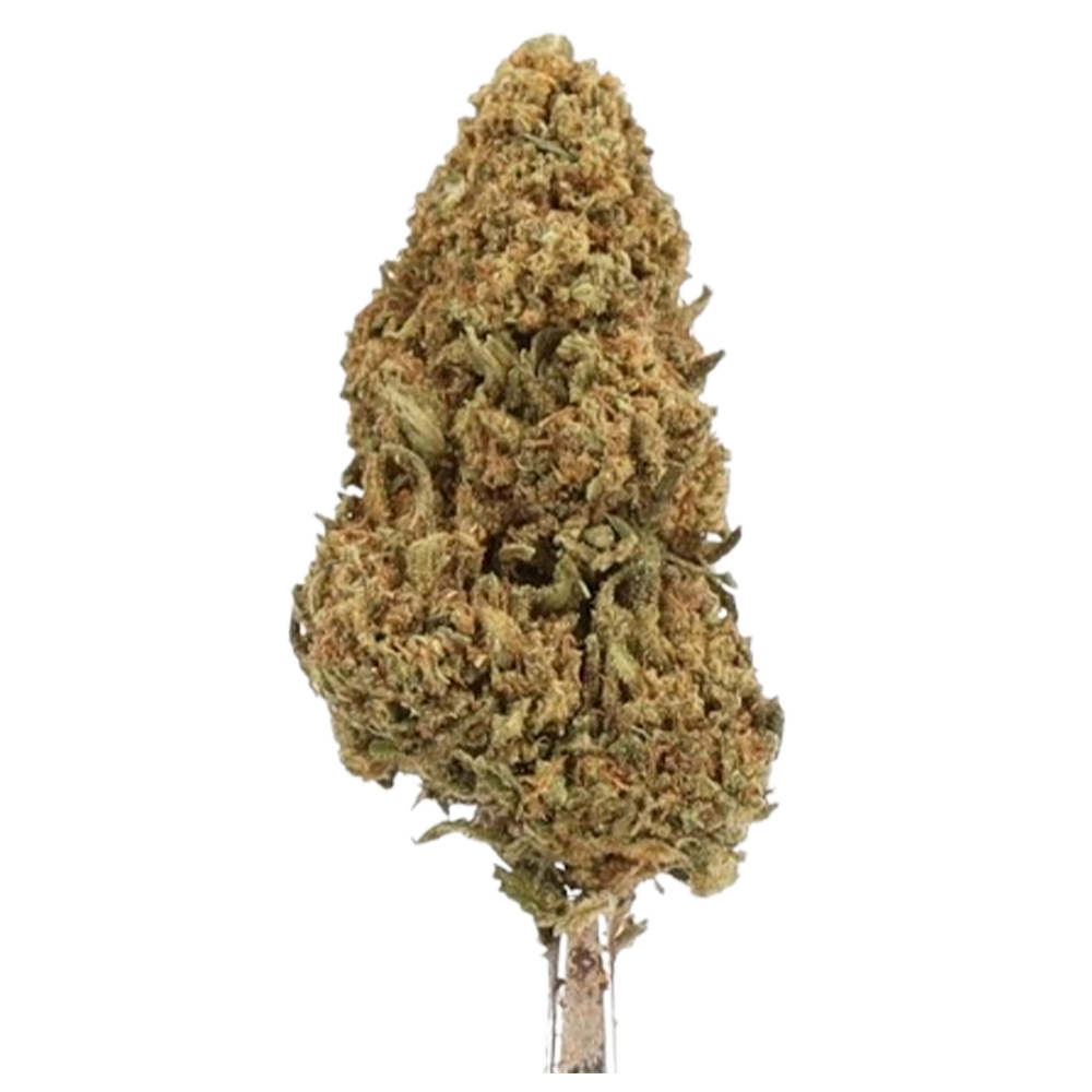 Orange Bud Greenhouse